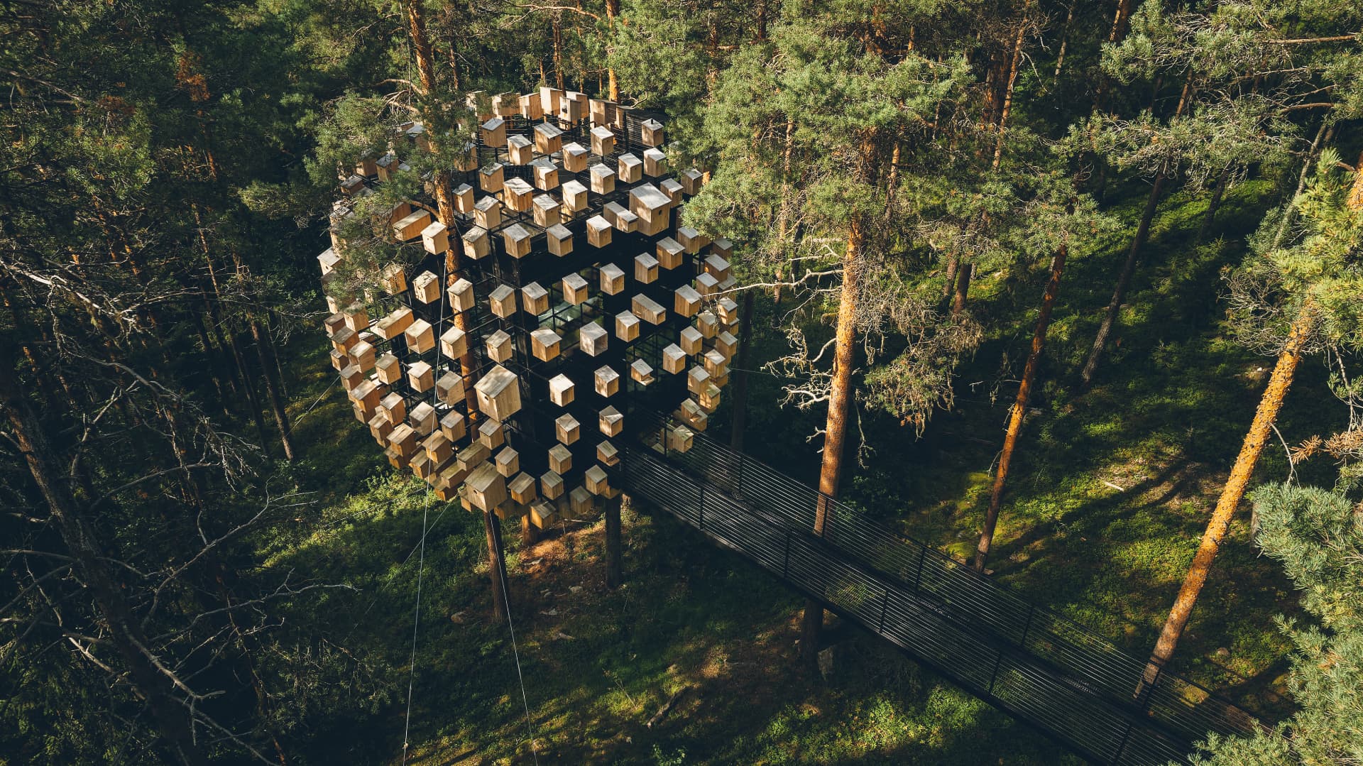 Bird's Nest på Treehotel bland tallarna